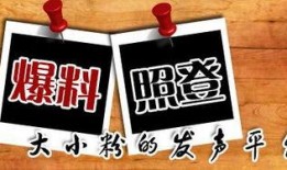 新闻哪里可以爆料,揭秘新闻爆料背后的真相